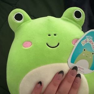 Brand new rare Wendy frog squishmallow. Amazing condition no stains or scratches